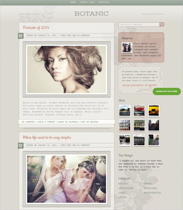 beautiful designer tumblr style wordpress theme