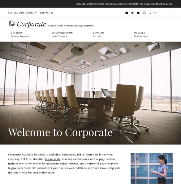 corporate software developer wordpress website theme