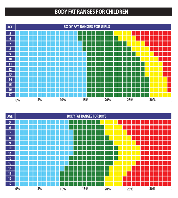 Body Fat Chart Templates – 6+ Free Excel, PDF Documents Download