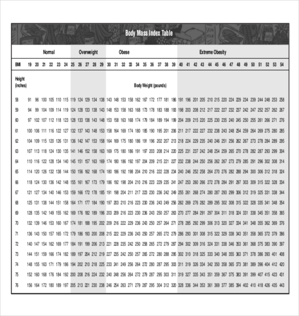 Body Fat Chart Templates – 6+ Free Excel, PDF Documents Download