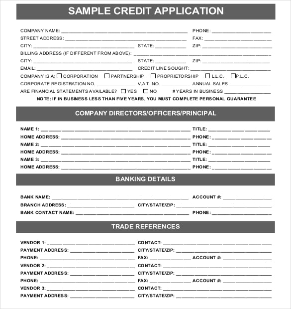 sample credit application
