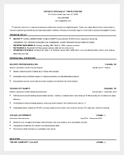 free download information technology it resume sample