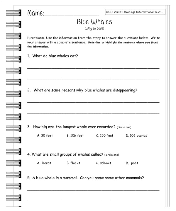 example blank common core sheet for second grade