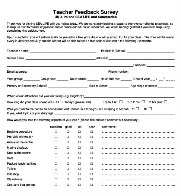 teacher feedback survey template pdf