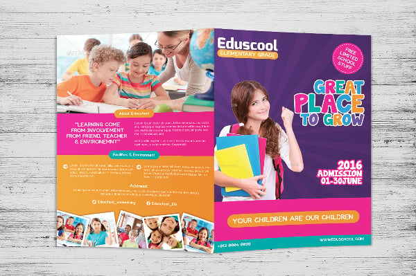 premium elementary school education bi fold brochure