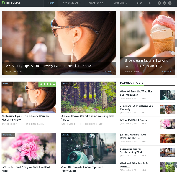 beautiful blogging wordpress theme