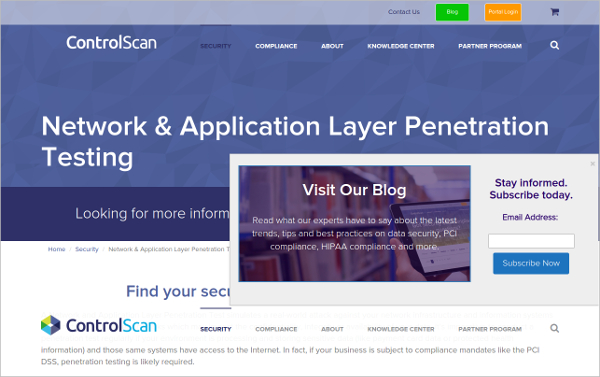 controlscan network application layer penetration testing