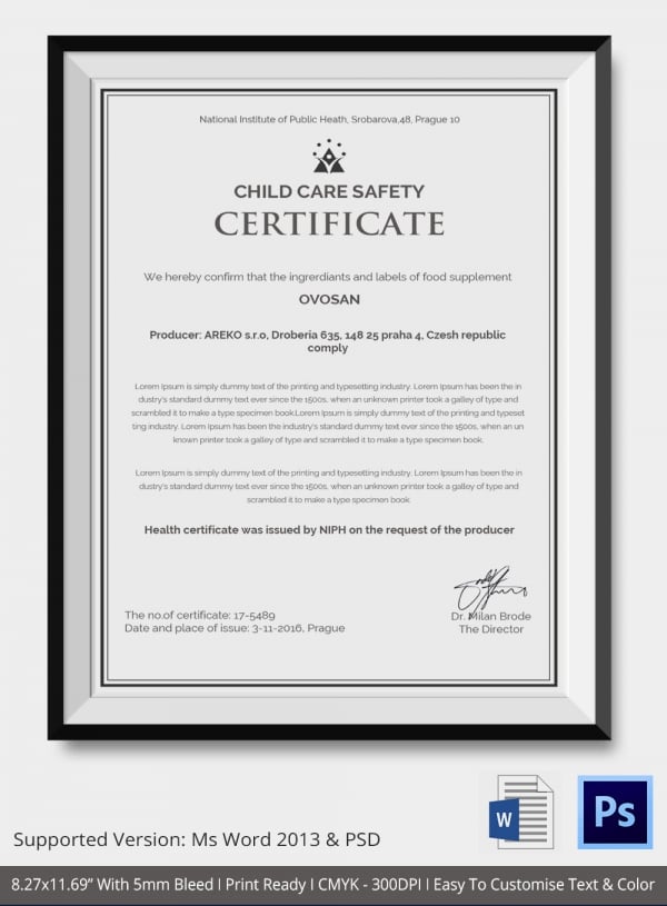 child care safety certificate template