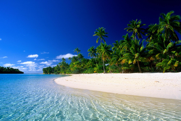 tropics beach background wallpaper download