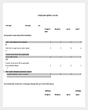 Employee Opinion Survey Template Example Format
