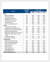 Election Survey Comprehensive Report PDF Template Download