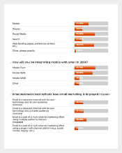 Email Marketing Survey Template Example Format