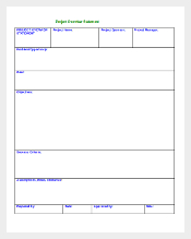 Project Overview Statement Template