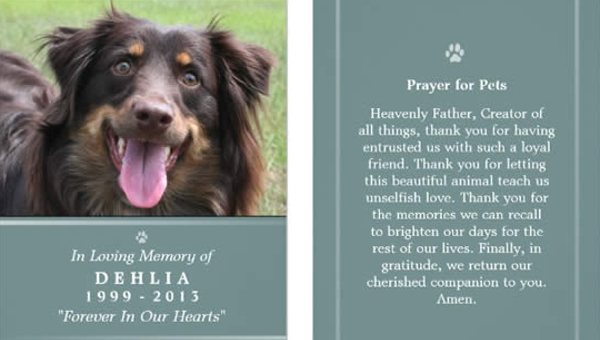 7+ Pet Funeral Program Templates - PSD, AI, EPS