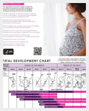Unborn Baby Growth Chart Template