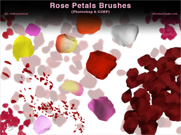 rose-petal-photoshop-and-gimp-brushes