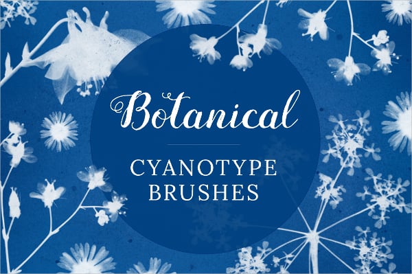 botanical cyanotype petal brushes