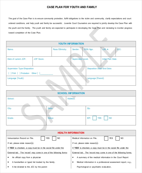 case plan template for family