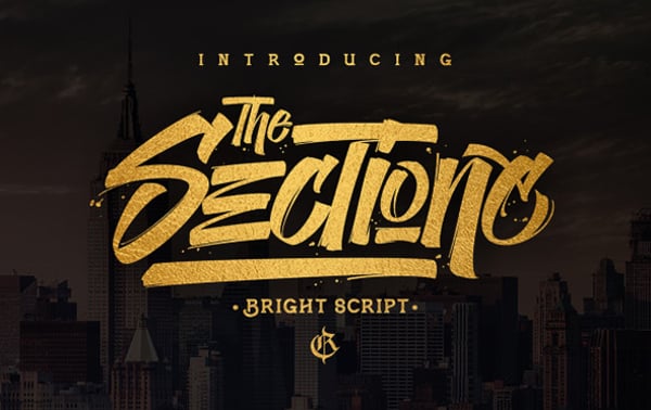 the sectione bright script