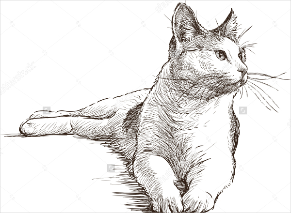 lying cat drawing