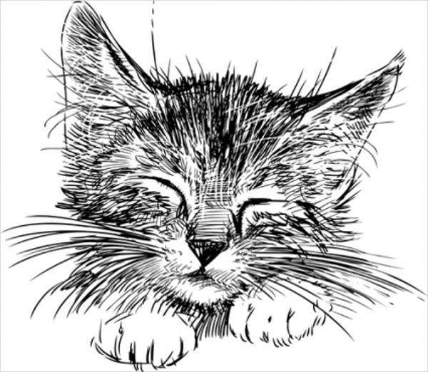 vector-black-kitten-drawing