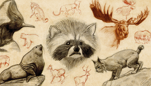 19+ Animal Drawing Templates - Free PSD, AI, EPS Format Download