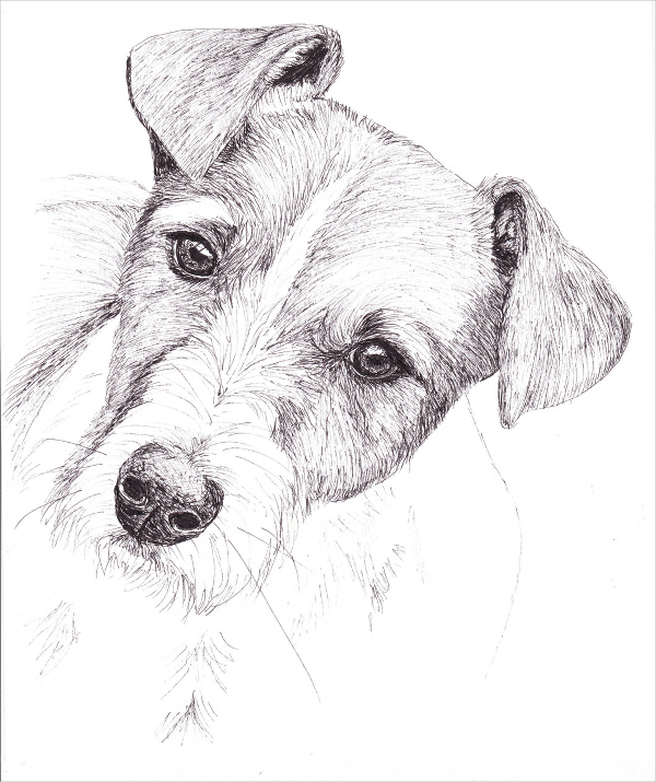 dog art pen drawing