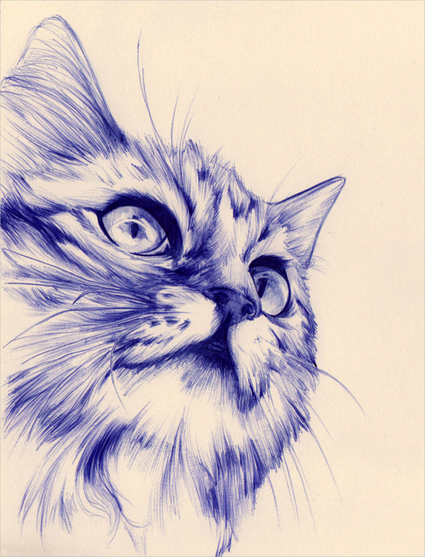 https://images.template.net/wp-content/uploads/2016/06/20112503/Cat-Pen-Drawing.jpg