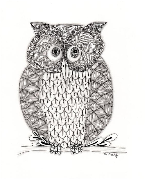 owl pen and ink drawing