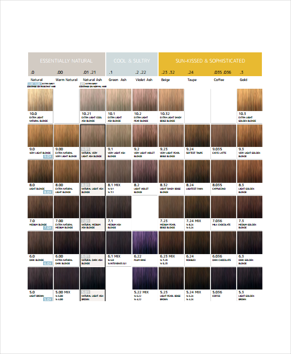 Hair Color Chart Template – 9+ Free Word, PDF Documents Download