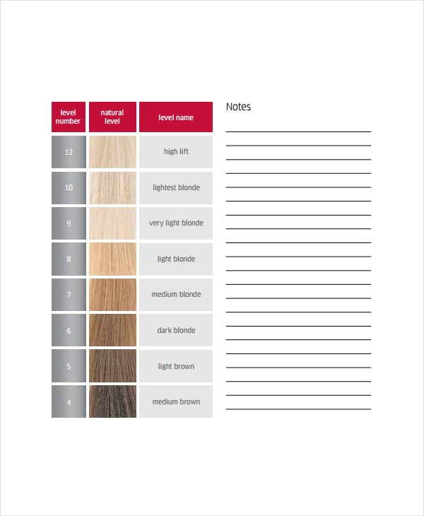 Hair Color Chart Template – 9+ Free Word, PDF Documents Download