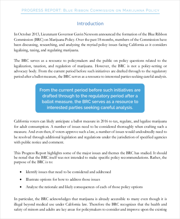 Report Template – 15+ Free Word, PDF Documents Download