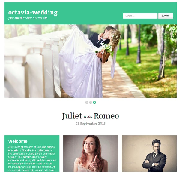 premium theme free wedding website