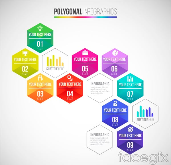 color hexagon business information vector charts