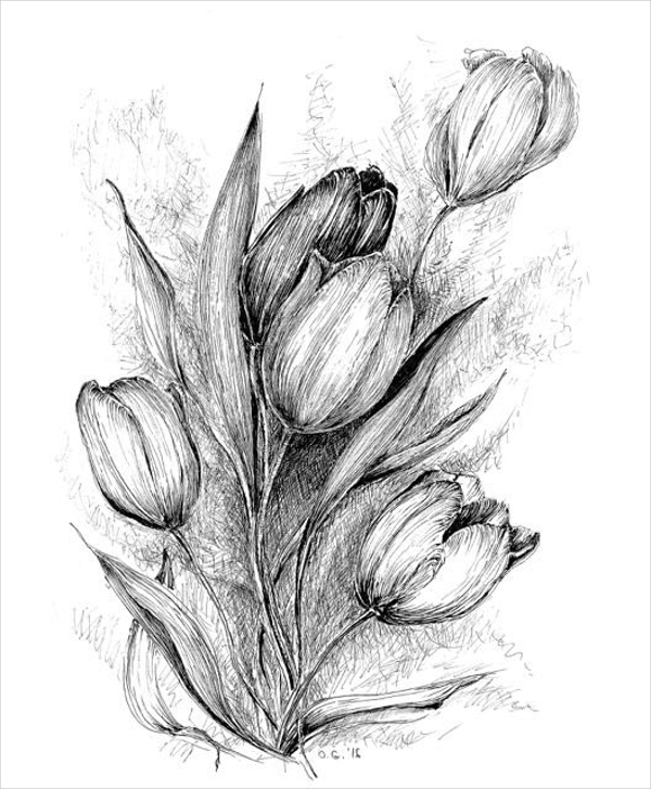 22+ Flower Drawings - Free PSD, AI, EPS Format Download