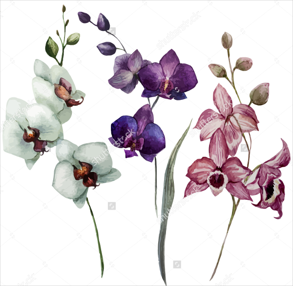 14+ Purple Flowers Drawing