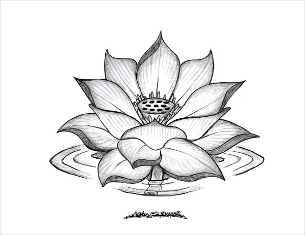 Flower Drawing