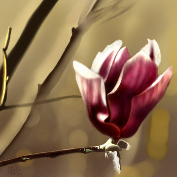 digital flower drawing