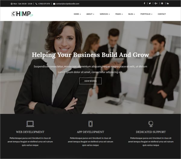 chimp pro multipurpose creative business template