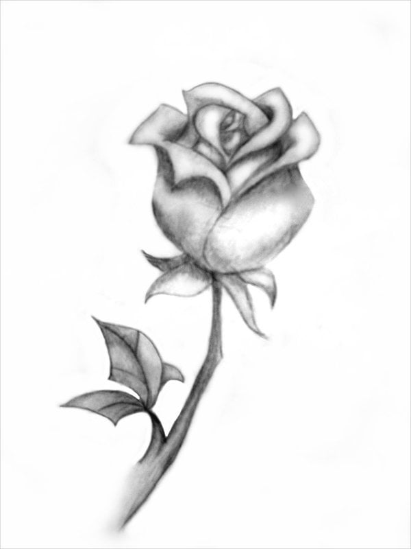 simple rose drawing