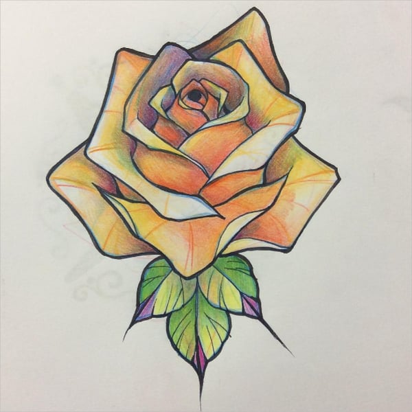 natural rose drawing