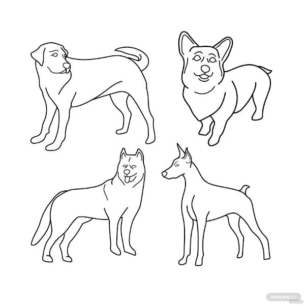 Cute Animal Coloring Page Coloring Pages For Adults Outline Sketch Drawing  Vector, Animal Drawing, Wing Drawing, Ring Drawing PNG and Vector with  Transparent Background for Free Download