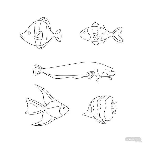 fish outline vector