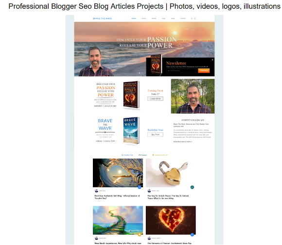 professional blogger template