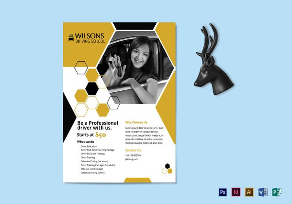 professional-driving-school-flyer-template1