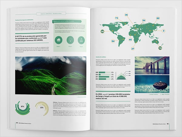corporate-infographic-brochure-template