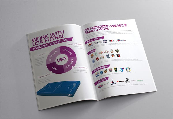 usa futsal infographic brochure