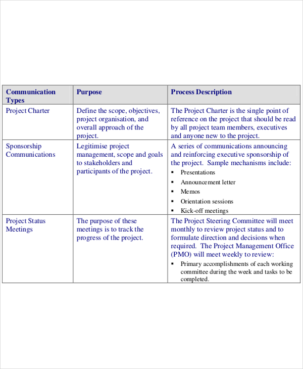 erp project charter template