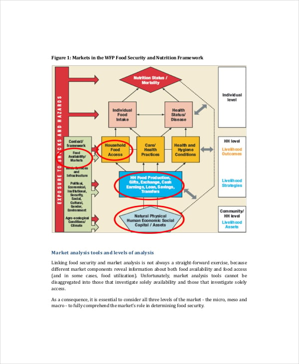 market analysis framework template