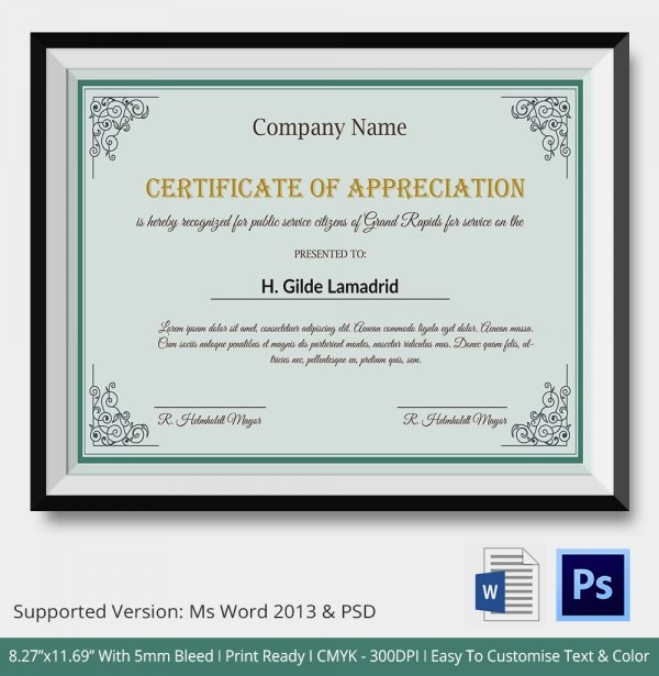 Company Certificate Template 24 certificate of appreciation templates free sle